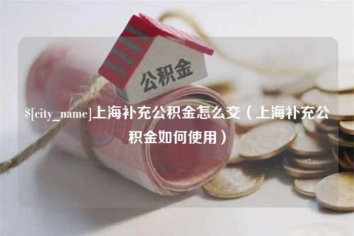 平邑上海补充公积金怎么交（上海补充公积金如何使用）